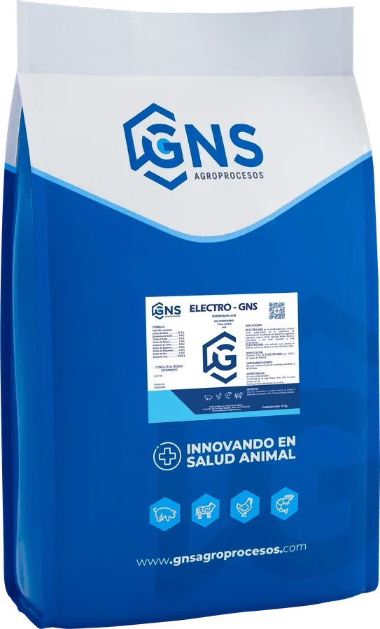 ELECTRO-GNS