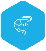 Camarón