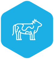 Ganado